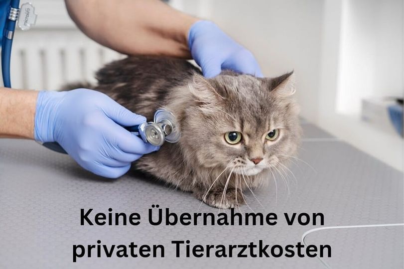 Keine Übernahme von privaten Tierarztkosten!