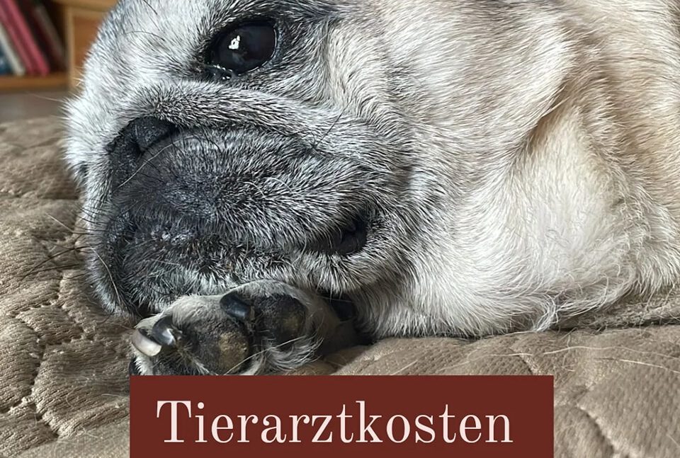 Tierarztkosten im Mai